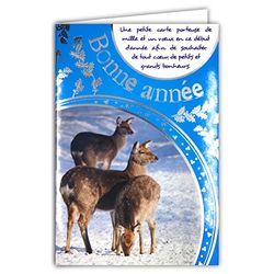Set van 10 identieke kaarten "Happy Year", met 10 enveloppen, geschikt voor formaat 12 x 17,5 cm, winterwensen, kerstfeesten, Nieuwjaar, december, januari, LOT10-61-4049-B BA
