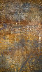 Homemania Printed Rug, 25% Polyester, 75% Cotton, Multicolor