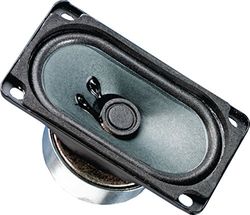 Visaton SC 5.9 haut-parleur 10 W Noir - Hauts-parleurs (1.0 canaux, Avec fil, 10 W, 130 - 20000 Hz, 8 Ohm, Noir)