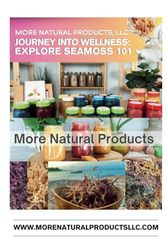 JOURNEY INTO WELLNESS: EXPLORE SEAMOSS 101