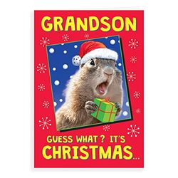 Piccadilly Greetings Regal Publishing Humour Christmas Card Grandson - 9 x 6 inches, C85536