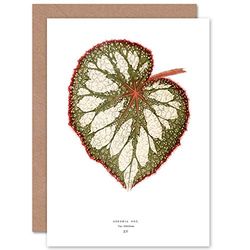 Wee Blue Coo Leaf Begonia Rex Nebulosa Greeting Card With Envelope Inside Premium Quality