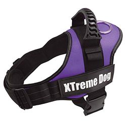 Arquivet 17710 Harnais Xtreme Dog, Lilas, XS (44-57 cm)