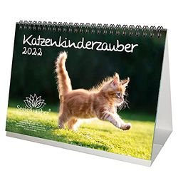 Katzenkinderzauber DIN A5 Desk Calendar for 2022 Cats Children Cats Babies Seelenzauber