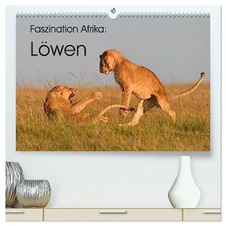 Faszination Afrika: Löwen (hochwertiger Premium Wandkalender 2025 DIN A2 quer), Kunstdruck in Hochglanz: Löwen, die größten Katzen Afrikas