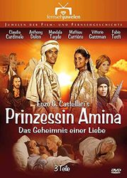 Prinzessin Amina: Das Geheimnis einer Liebe - Teil 1-3 (Fernsehjuwelen)