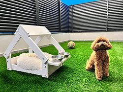 Skraut Home - Cuccia per Animali al Coperto | Casetta per Cani, Gatti o Conigli | Legno di Pino Bianco FSC | Supporto per 2 Ciotole | 76 x 44 x 55 cm | Nessun Letto | Cuccioli Piccoli o Medi