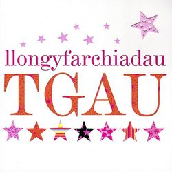 Claire Giles Greeting Cards, Welsh Congratulations GCSE Card, Pink Stars Design Welsh Language Exam Greeting Card