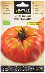 Semillas Ecológicas - Tomate Tres Cantos Gigante Rosa (0,5g)