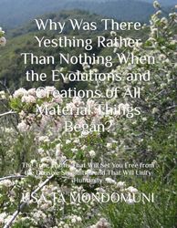 Why Was There Yesthing Rather Than Nothing When the Evolutions and Creations of All Material Things Began?: The True Truths That Will Set You Free ... Stupidities and That Will Unify Humanity