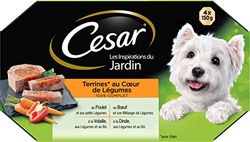 CESAR Les Inspirations du Jardin - Barquettes en terrine pour chien adulte, cœur de légumes, 24 barquettes de 150g