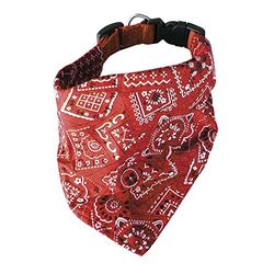 ICA dl1080 Fazzoletto Collana Cowboy