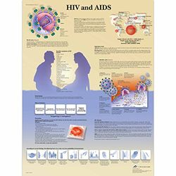 3B Scientific Tabla científica Vih Y Vida Útil De Ayudas De Diseño Con La Escala De