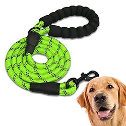 EDIPETS, Laisse Chien, Laisse de Dressage pour Chien, Rembourrée, Poignée Souple, Corde pour Chiots et Petits, Moyens et Grands Chiens, 1,2 et 1,5 mètres. (1.2 M, Vert)