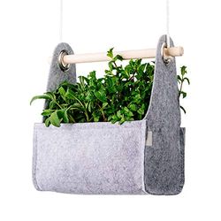 EQUA EH 04MS Swing, Pots de Jardin durables, matériaux naturels (Feutre et Bois), Gris, 27 x 17 x 14