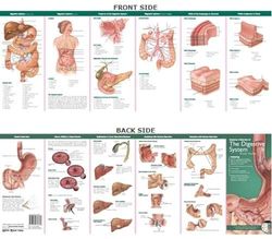 Anatomical Chart Company's Illustrated Pocket Anatomy: Anato