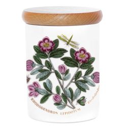 Portmeirion Home & Gifts Airtight Storage Jar, Earthenware,Rubber, Multi-Colour Colour, 10cm