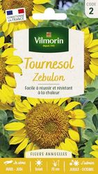 Tournesol Zébulon Vilmorin série 2