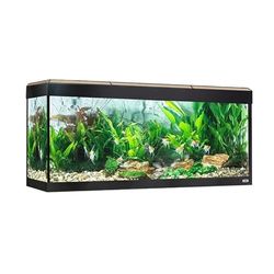 Kit Acuario con iluminación LED Bluetooth Fluval Roma, 240 l, Roble