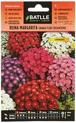 Batlle - Semi di Fiori - Astro della Cina Nano Crisantemo, Assortiti
