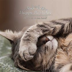 Happy Birthday Cat Greetings Card