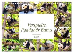 Pandabär Babys (Wandkalender 2025 DIN A4 quer), CALVENDO Monatskalender: Niedliche verspielte Pandabär Babys