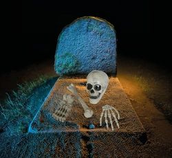 FIESTAS GUIRCA | 4 Piece Skeleton Bones Set - Halloween Decoration for Parties and Celebrations - Ideal for Spooky Environments and Scary Scenes - Skulls and Skeletons - White