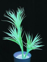 Europalms Yucca Palmtree UV-grön 90 cm