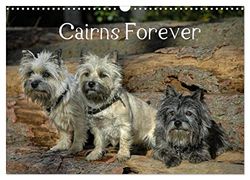 Cairns Forever (Wandkalender 2026 DIN A3 quer), CALVENDO Monatskalender: Eine Reise mit dem Cairn durch die Jahreszeiten
