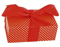 Clairefontaine 212844C - geschenkdoos aan de achterkant 23 x 16 x 9 cm, rood, 1 stuk