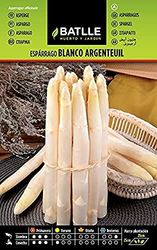Semences horticoles de Batlle - Asperge blanc Argenteuil (4g)