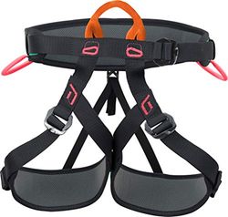 Climbing Technology Explorer W Arnés, Unisex Adulto, Verde Negro Rosa, Talla única