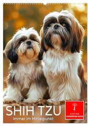 Shih Tzu - immer im Mittelpunkt (Wandkalender 2026 DIN A2 hoch), CALVENDO Monatskalender: Ein kleiner Charmeur - keck, fröhlich und anhänglich.
