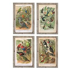 DKD Home Decor Vogels (45 x 2 x 65 cm) (4 stuks) (Referentie: S3018421)