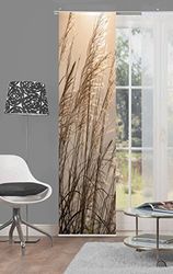 Home Fashion 87997-711 Caruso Cortina de correr (Impressão digital, plástico, natural, 245 x 60 cm