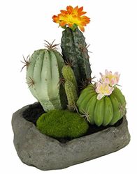 Flair Cactus Flower 088887or in Pietra, plastica, Arancione, 19 x 15 x 14 cm