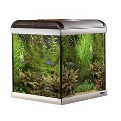 Ferplast 65205021 Acquario Star Cube, dimensioni: 67 x 62 x 67,5 cm, Capacità: 230 litri