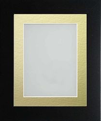 Frame Company Watson Matte Black Picture Photo Frame fitted with Perspex, 16x12 inch with Gold Mount for image size 12x8 inch