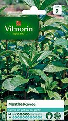 Vilmorin - Menthe poivrée - Plante médicinale et aromatique - idéal pour parfumer cocktails et salades - développement important, verte