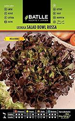 Semillas Batlle Lechuga Salad Bowl Rossa