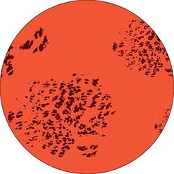 Bonateks, Ronde digitaal bedrukte muismat, antislip onderkant, voor kantoor en thuis, diameter: 22 cm