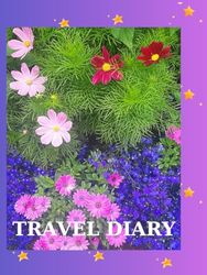 TRAVEL DIARY