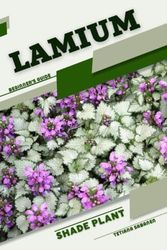 Lamium: Shade plant Beginner's Guide