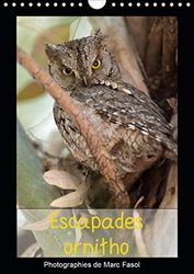 Escapades ornitho (calendrier mural 2019 din a4 vertical) - la diversite de l'avifaune europeenne es: La diversité de l'avifaune européenne est aussi ... (Calendrier mensuel, 14 Pages )