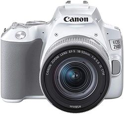 Canon EOS 250D Bianco + EF-S 18-55mm f/4-5.6 IS STM Kit fotocamere SLR 24,1 MP CMOS 6000 x 4000 Pixel Argento