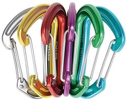 EDELRID Mosquetão Nineteen G Sixpack para adultos, unissexo, cores sortidas, 000