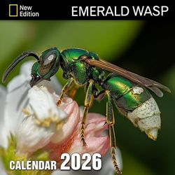Emerald Wasp Calendar 2026: Discover the vibrant colors and fascinating habits of these tiny marvels | Kalender Calendario Calendrier