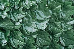 Verdemax Hedge verdecor Extra con Foglie Come Ivy, 1 x 3 m, 5633, Verde, 105 x 28 x 27 cm, 5633