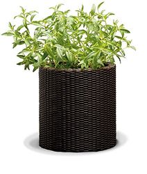 Curver Vaso Da Fiori Medio Rattan