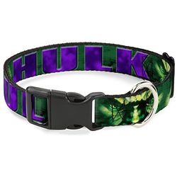 Buckle-Down Collar de Clip de plástico – Hulk Face Close-UP/Action Pose Verdes/Morados